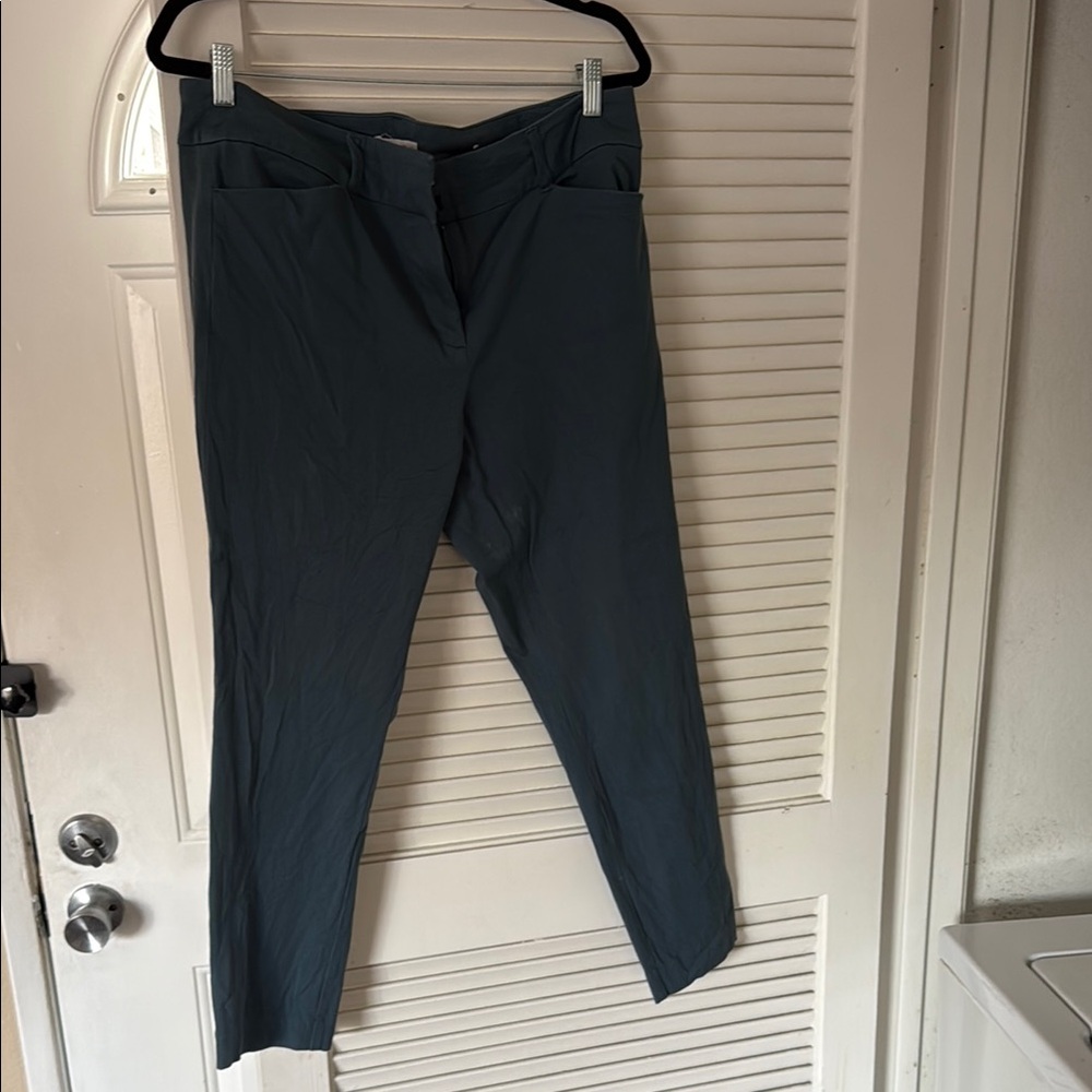 LOFT Teal Blue Pants